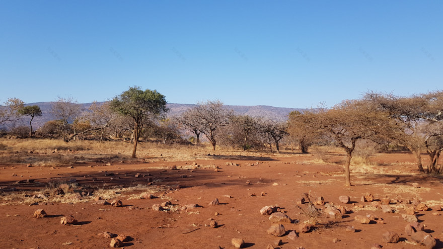 游猎小屋丨南非-8