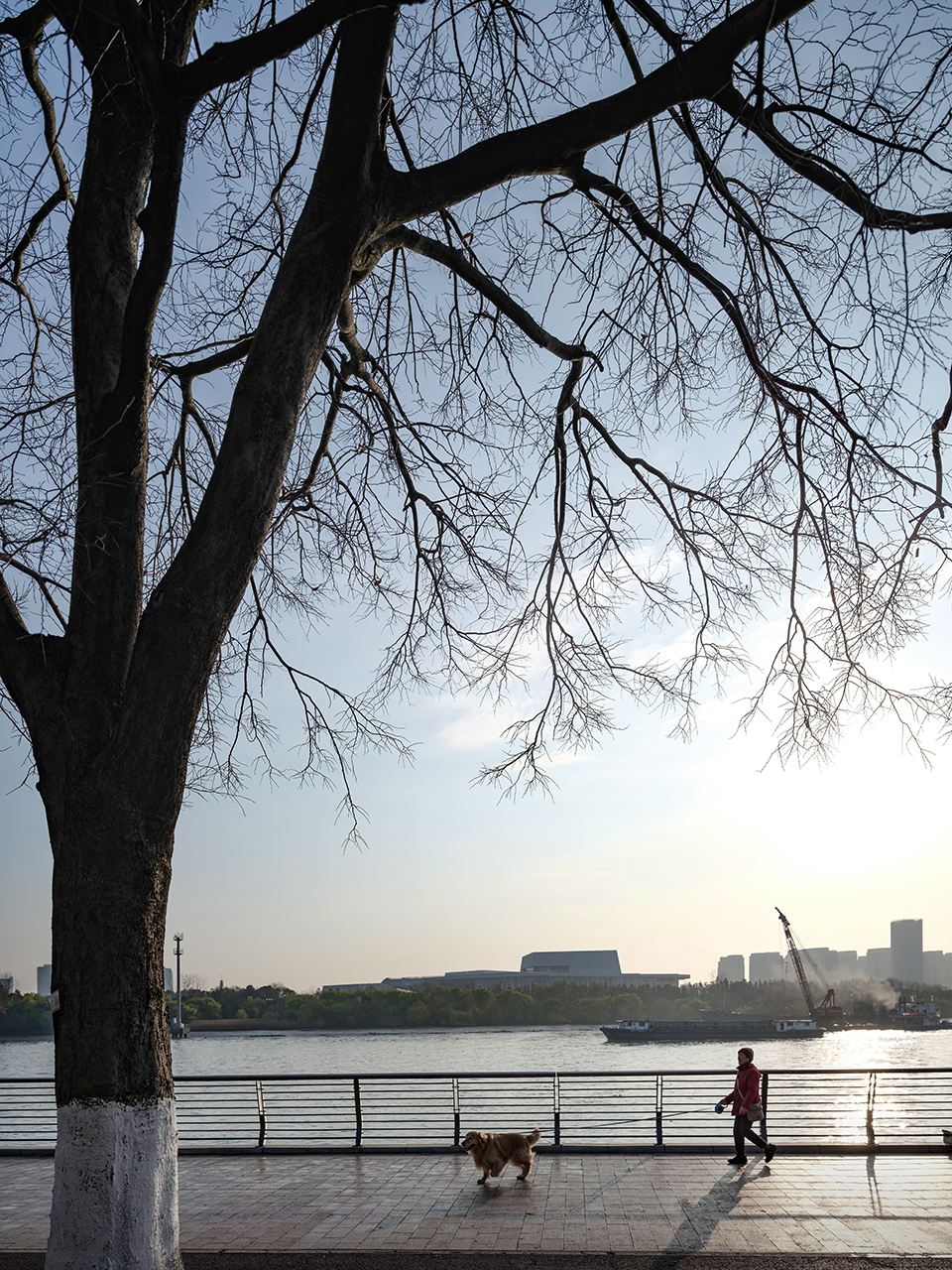 上海大歌剧院丨中国上海丨Snøhetta,华东建筑设计研究院有限公司等-50