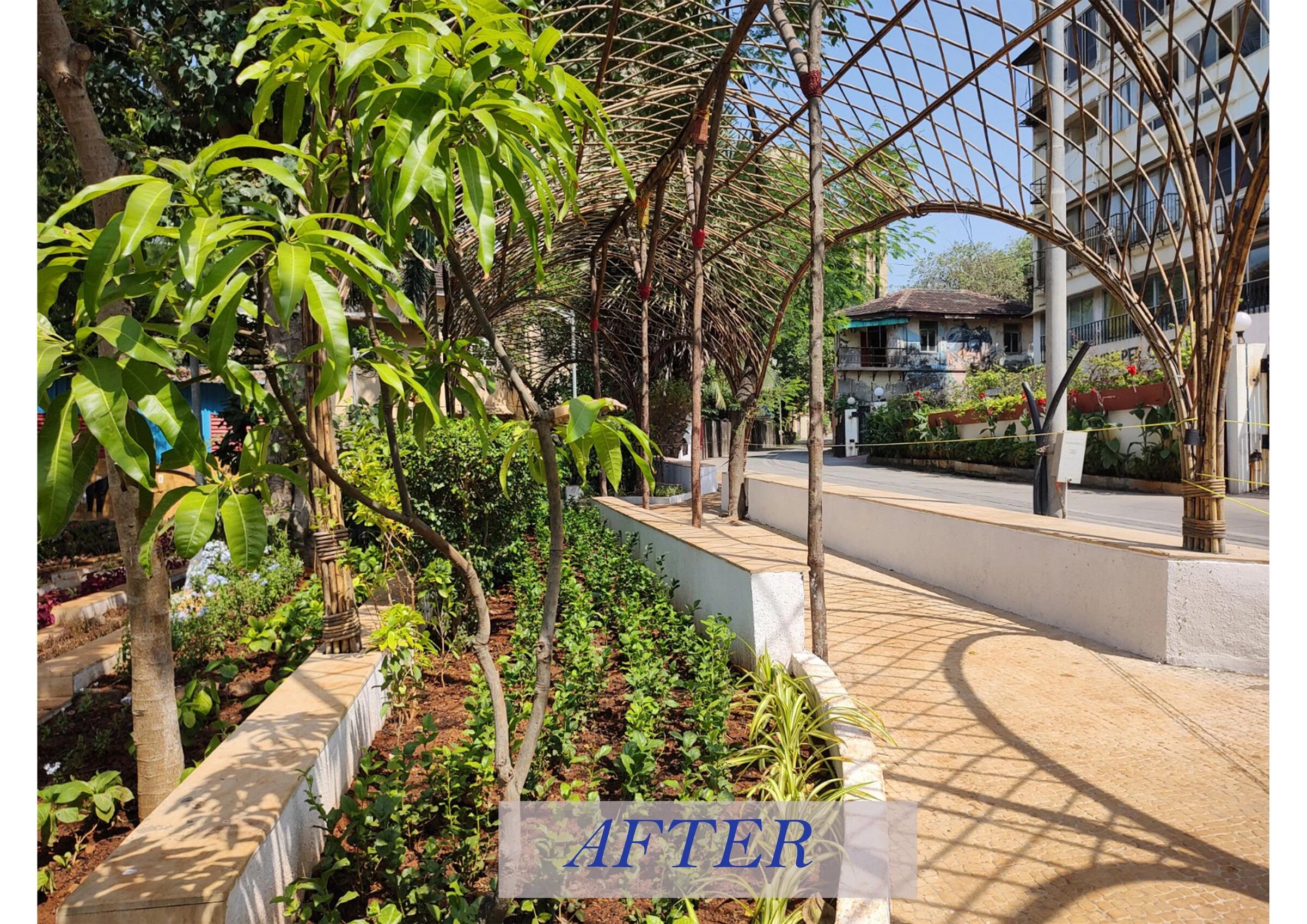 Bandra West 小型公共开放空间丨印度丨Atelier ARBO-7