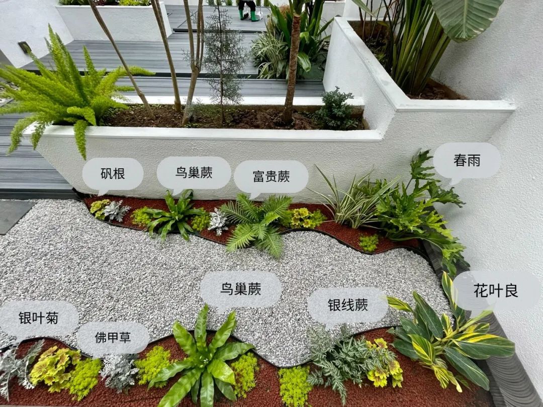 一个没有花的花园，全是绿植的高颜值花园改造，太美了-21