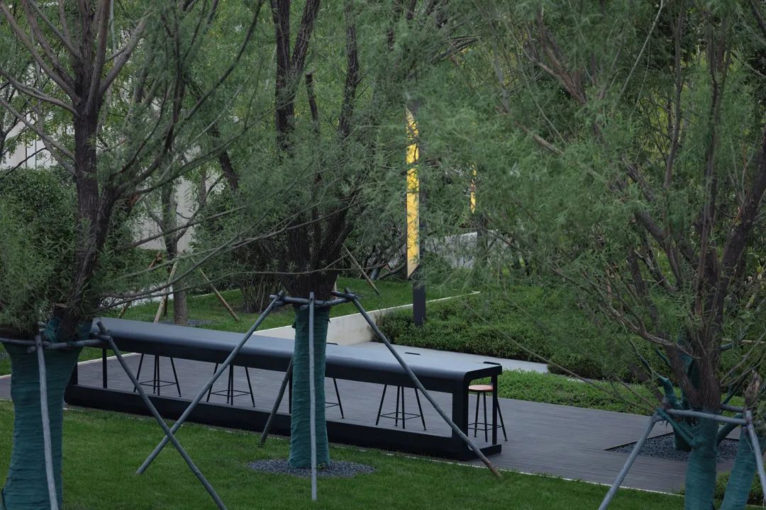 中海·哈尔滨天誉 | 都市中的世外桃源-35