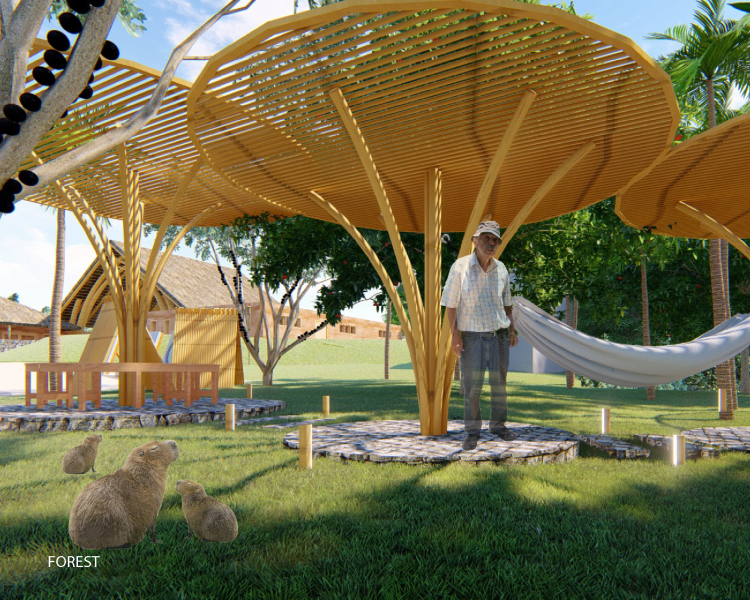 支持巴西圣安杰洛原住民社区的基础设施项目丨学生Amanda Senger及教师Fabiana,Valter等-50