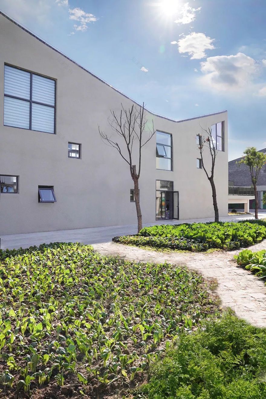 江苏阜宁硕集幼儿园 | 山谷中的童年乐园-65