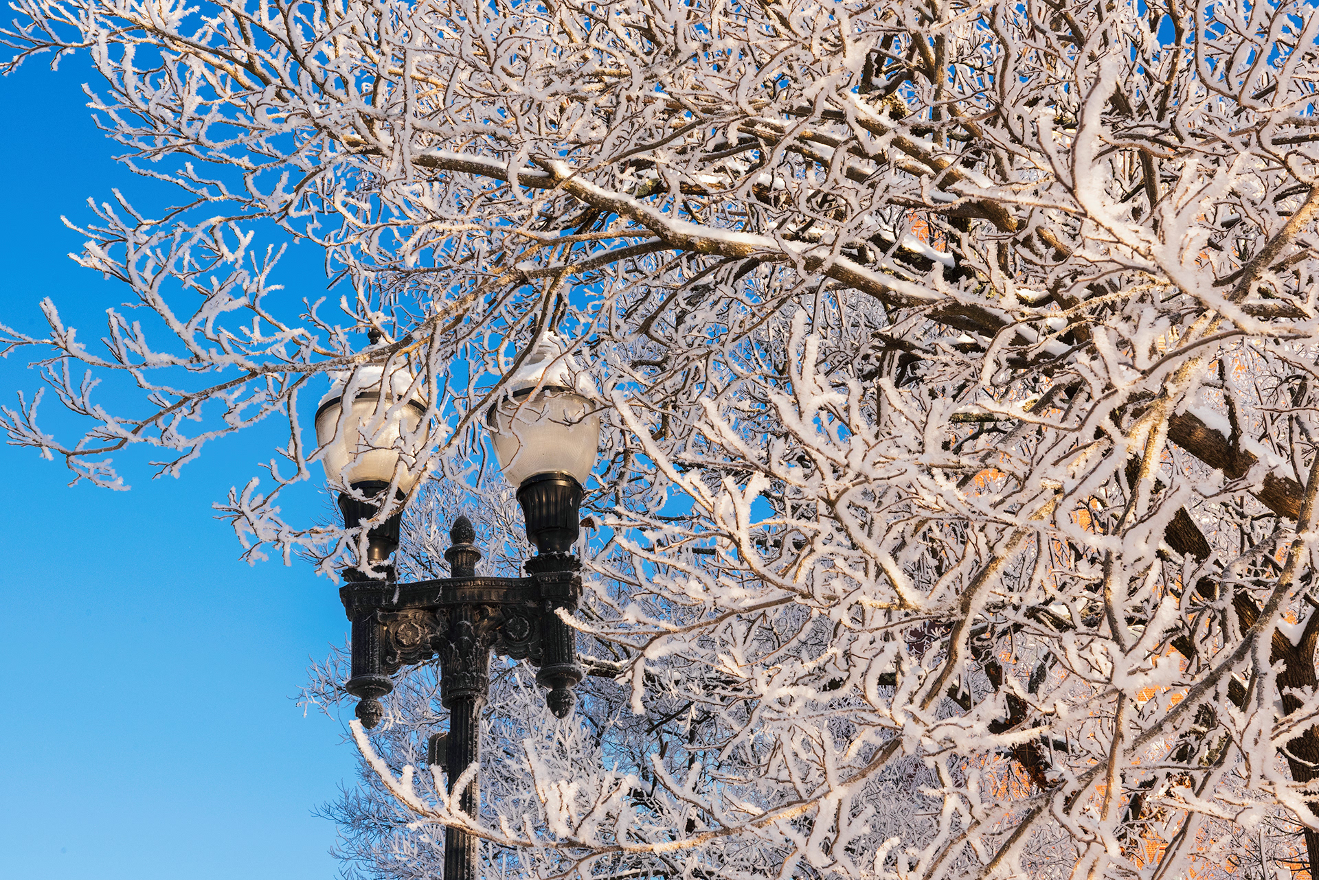 Knoxville, TN (USA).-66