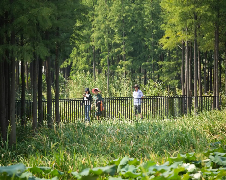 漂浮的森林:南昌市鱼尾洲公园丨中国南昌丨土人设计-39