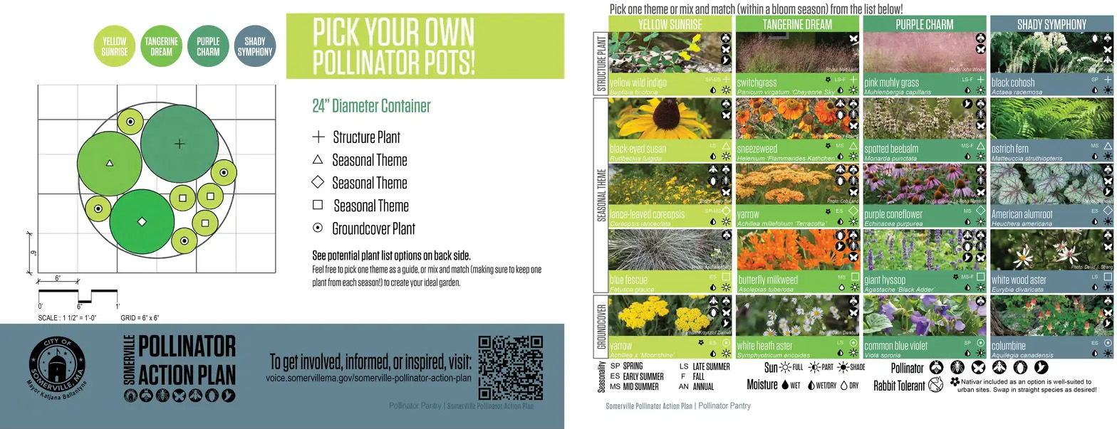 萨默维尔授粉昆虫行动计划丨美国丨Offshoots,Inc.-35