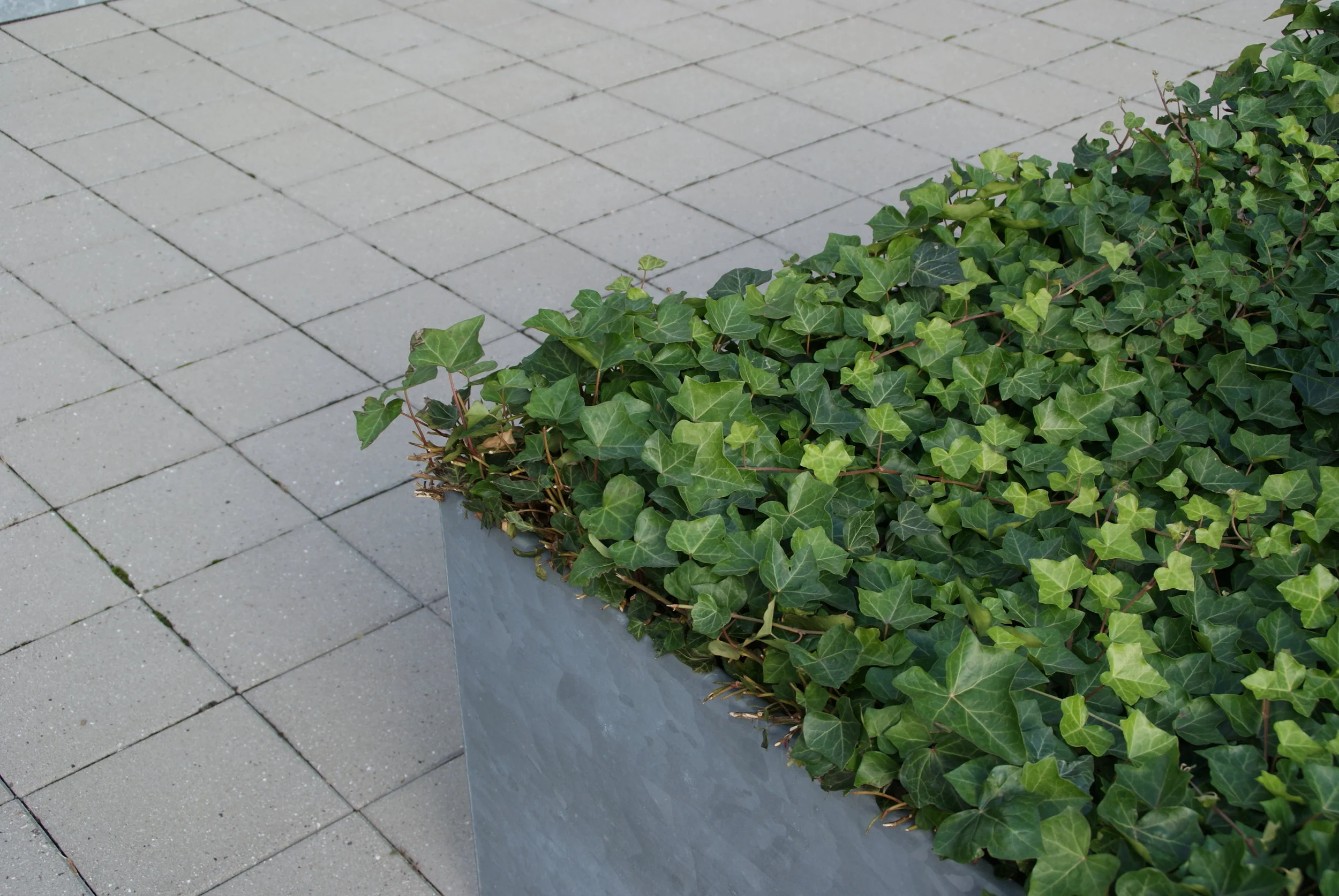 赫勒沃 3 号环区办公园区-30