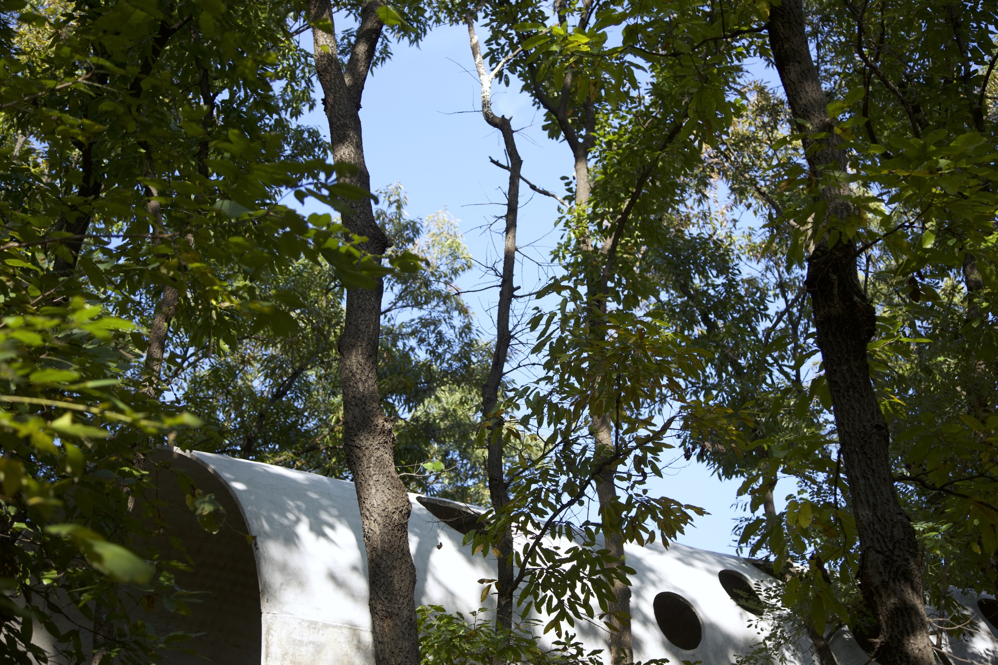 卧虎藏龙美术馆丨中国日照丨孔祥伟工作室-58