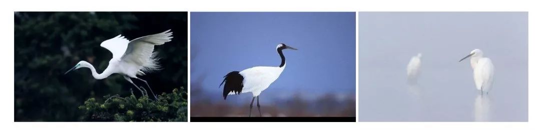 广东东莞星岸别墅样板间 | “看·山”的境界-23