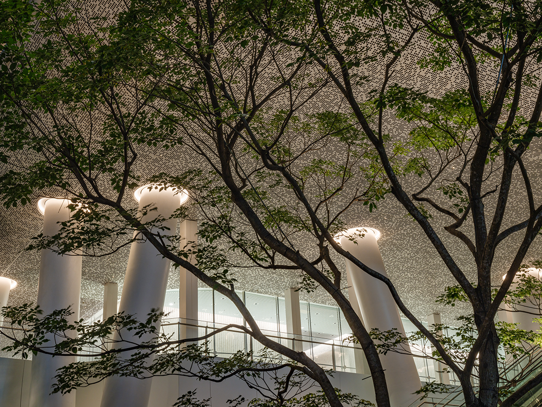 TS新作|树根科技总部大厦-100