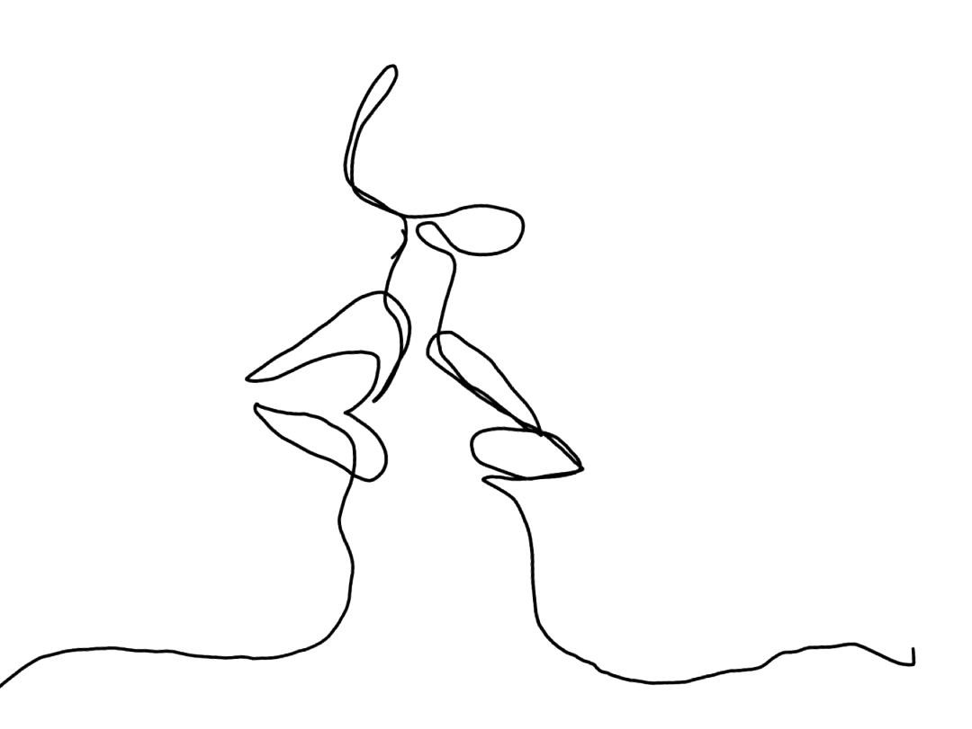 常州路劲铂隽|| 现代风格精装改造，赋予空间生命与浪漫-11