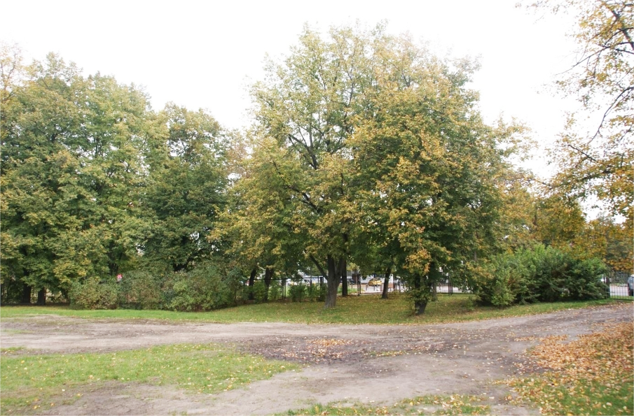 新波兰皇家歌剧院建筑丨波兰华沙丨Stelmach i Partnerzy等众多参赛团队-14