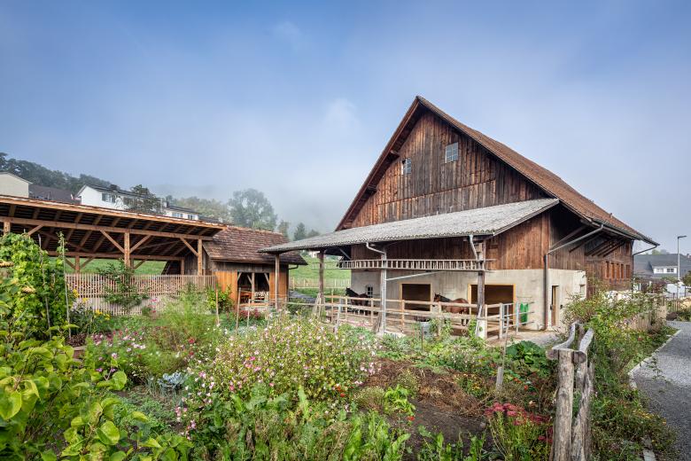 Vogtshaus 改造与修复丨瑞士丨Castor Huser-9