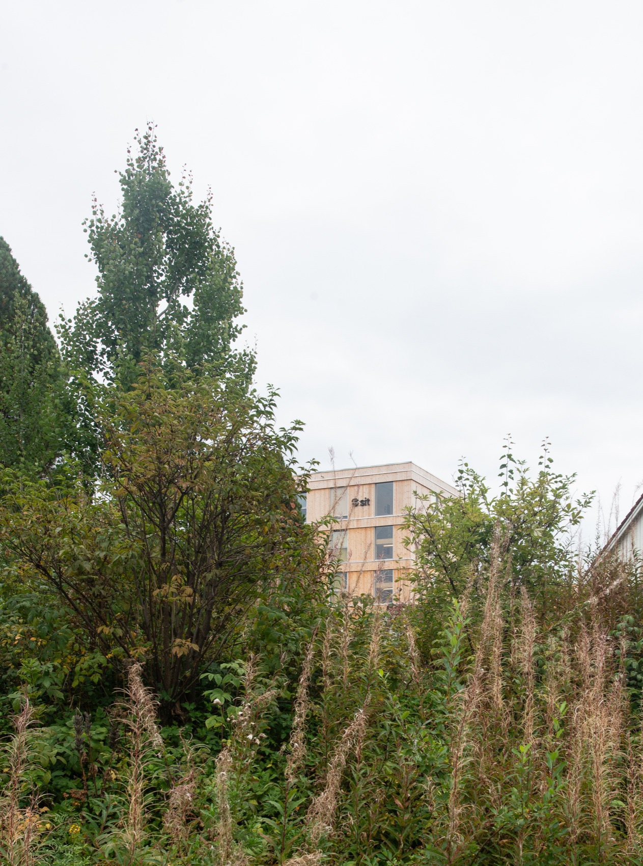 Kallerud学生公寓丨挪威-81