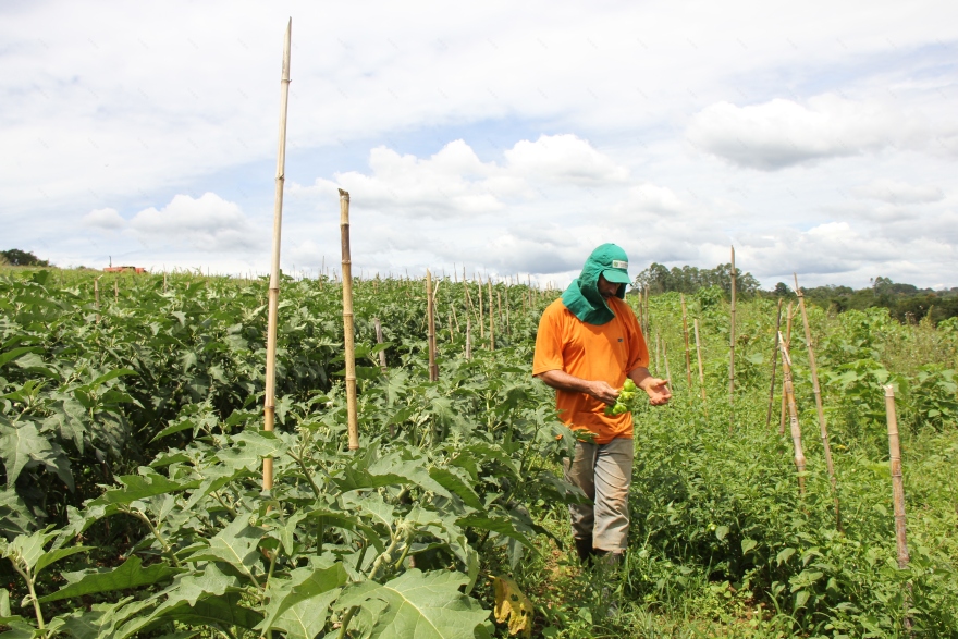 超本地小型超市丨巴西圣保罗-0