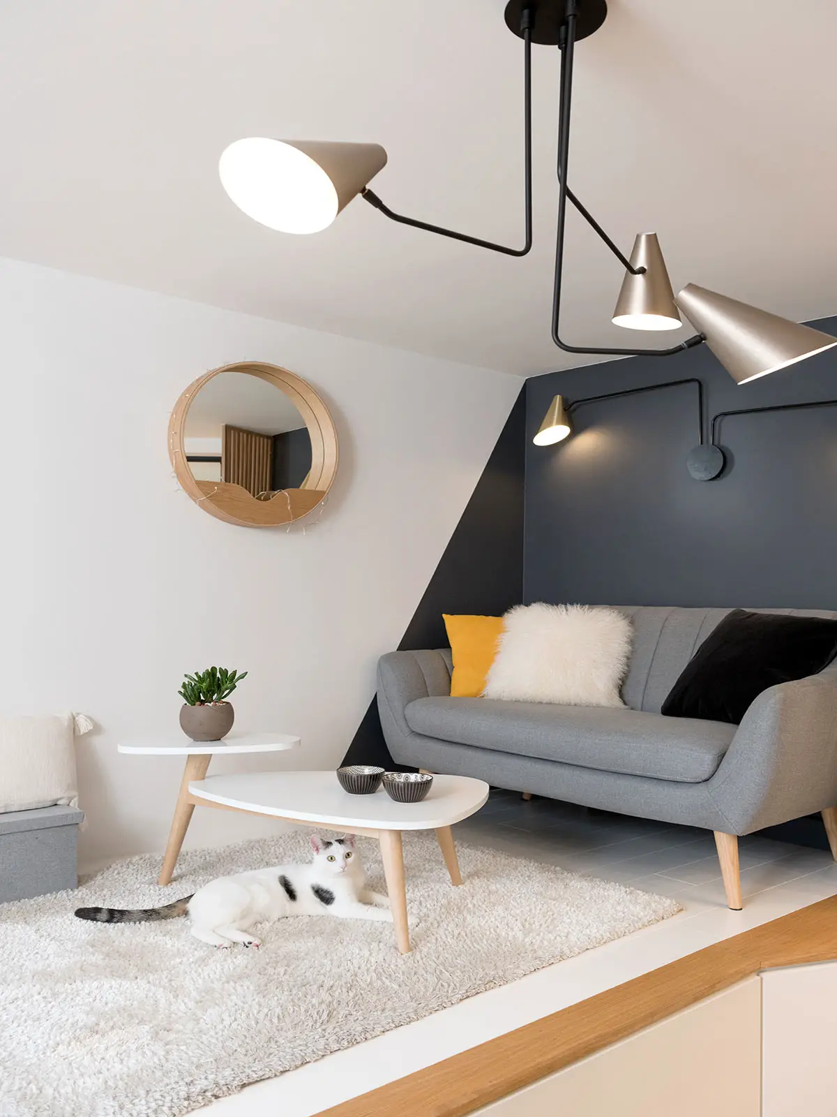 巴黎 20m2 公寓隐藏巧妙床铺设计-9