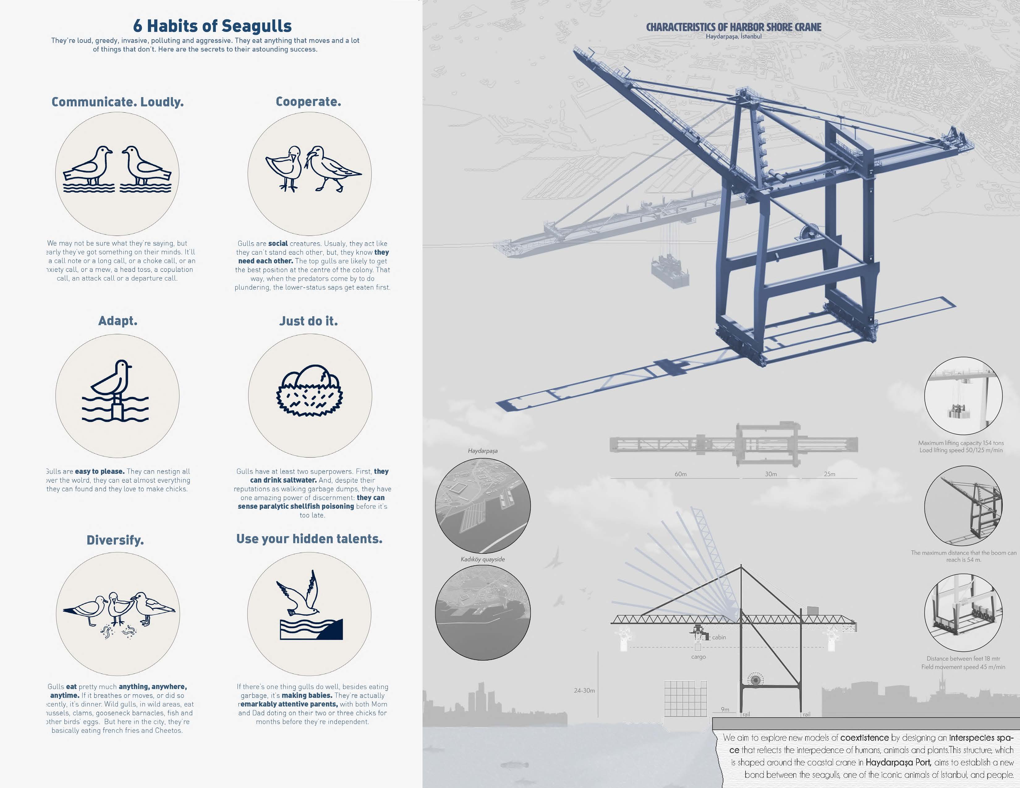 PORTFOLIO / Yiğit Alp Tepe-14
