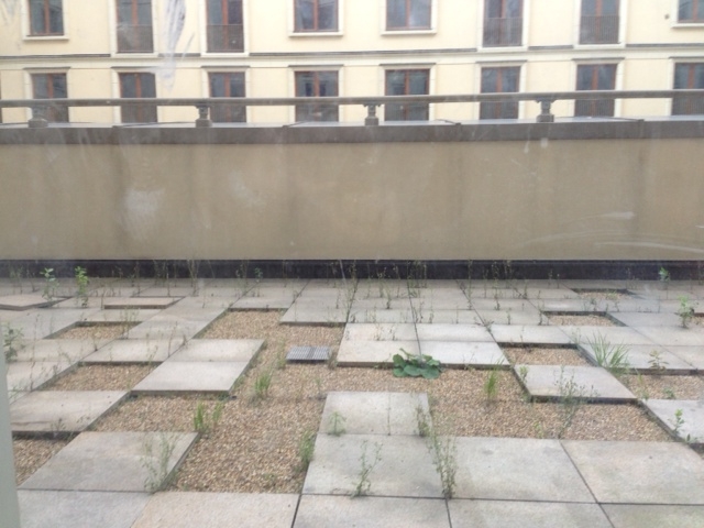 “莫斯科”酒店区域改善项目丨俄罗斯丨“Arteza”景观设计工作室-31