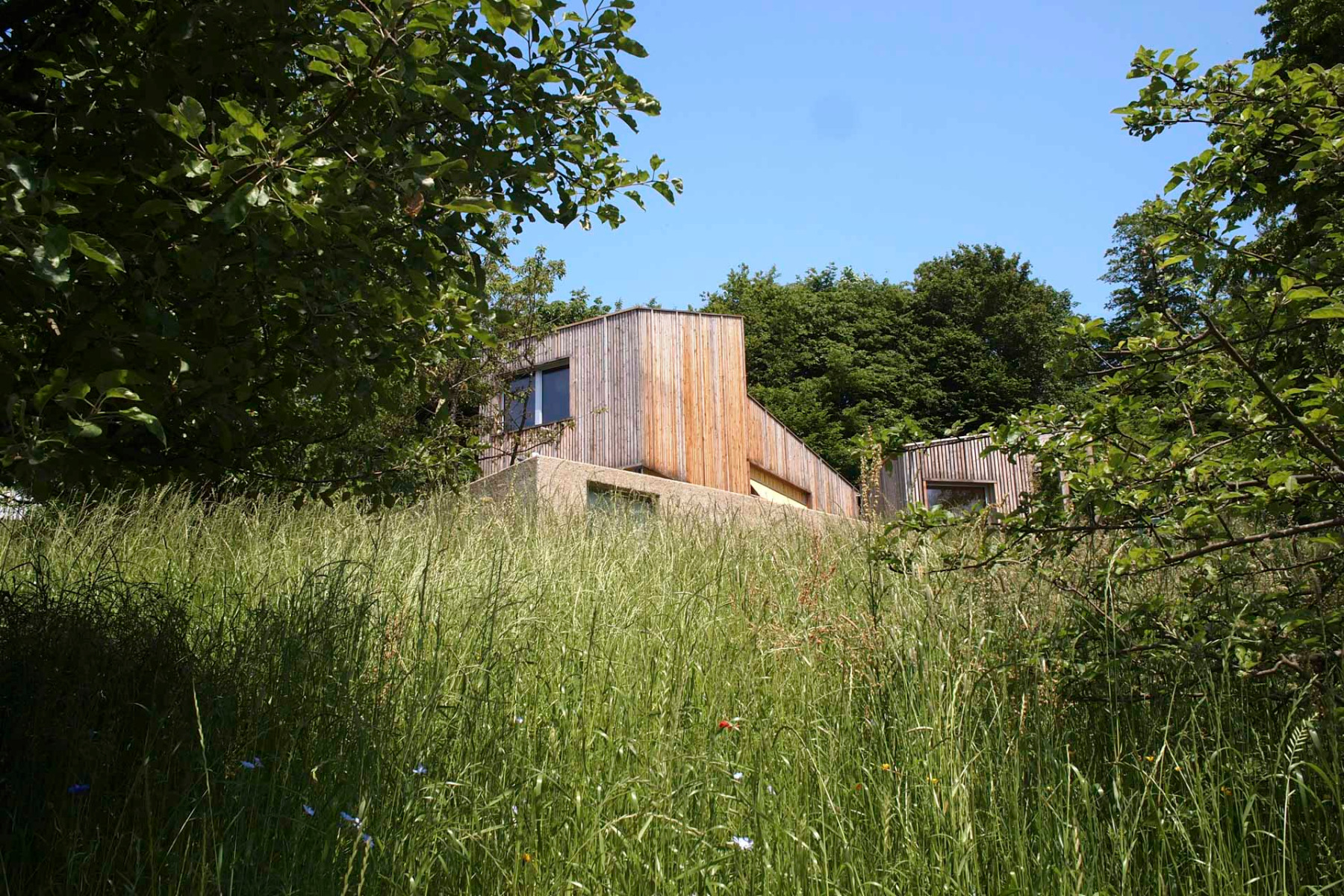 下奥地利州Nema建筑事务所建筑群丨奥地利下奥地利丨Nema Architecture Office-2