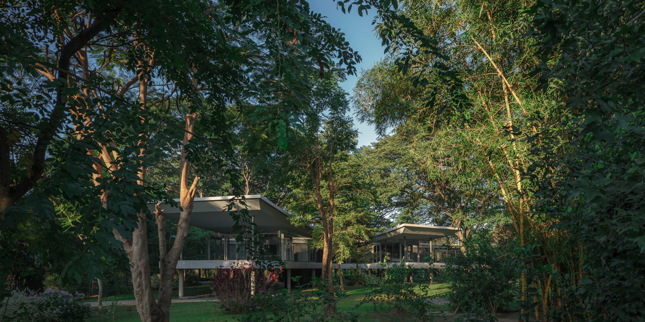 在雨树下丨泰国清迈丨Rachaporn Choochuey等团队成员-26