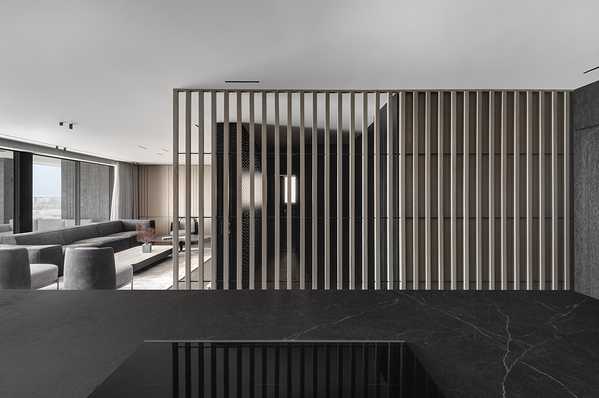 我的房子是我的服装——顶层公寓丨以色列丨Erez Hyatt-30