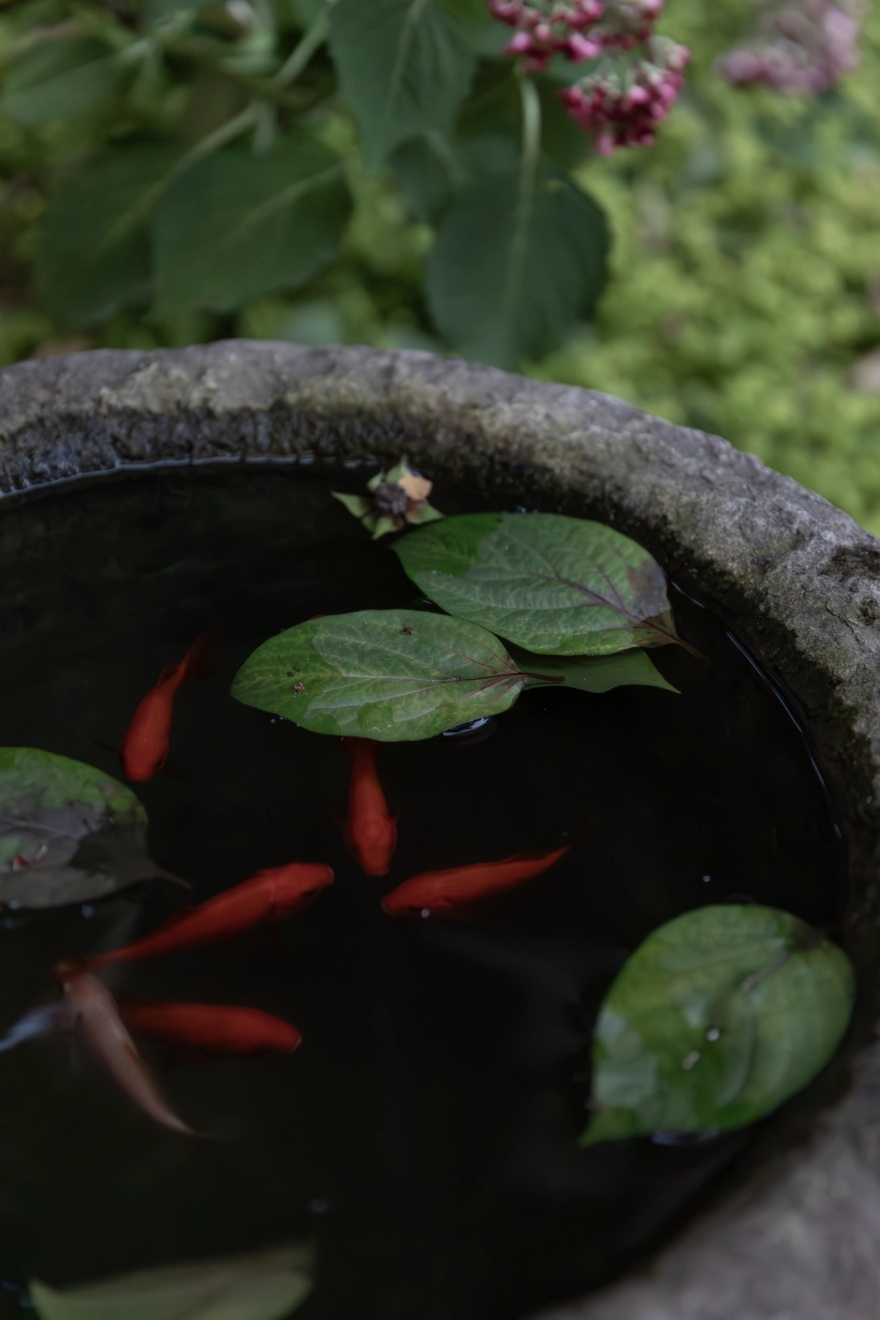 春山外330平日式原木叠墅 · 倾城国际设计丨中国浙江-39