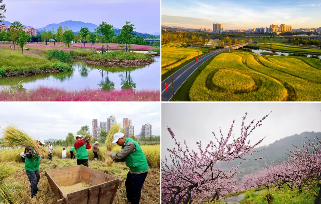 远安县桃花岛生态公园续建项目丨中国宜昌丨中外建工程设计与顾问有限公司深圳分公司-2