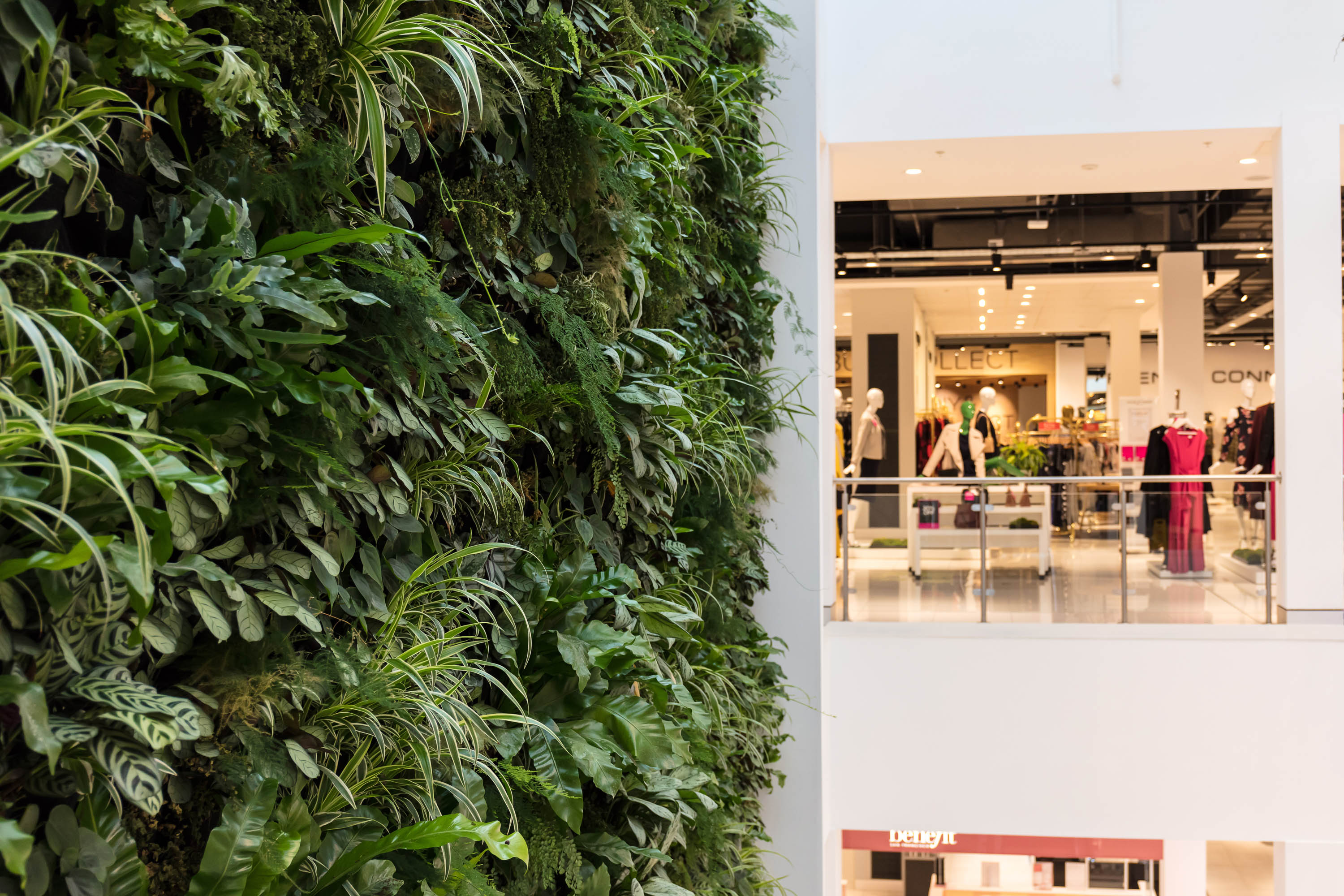 Rushden Lakes House of Fraser 绿色旗舰店 | 自然、时尚与环保的完美融合-36