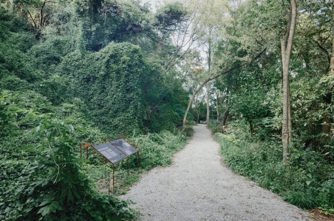 华沙起义丘公园丨波兰丨archigrest与topoScape设计工作室-15