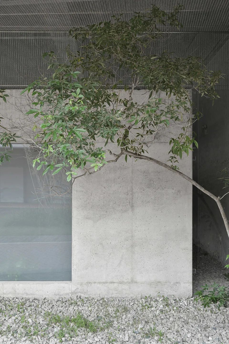 林省工作室丨中国厦门丨退化建筑-10