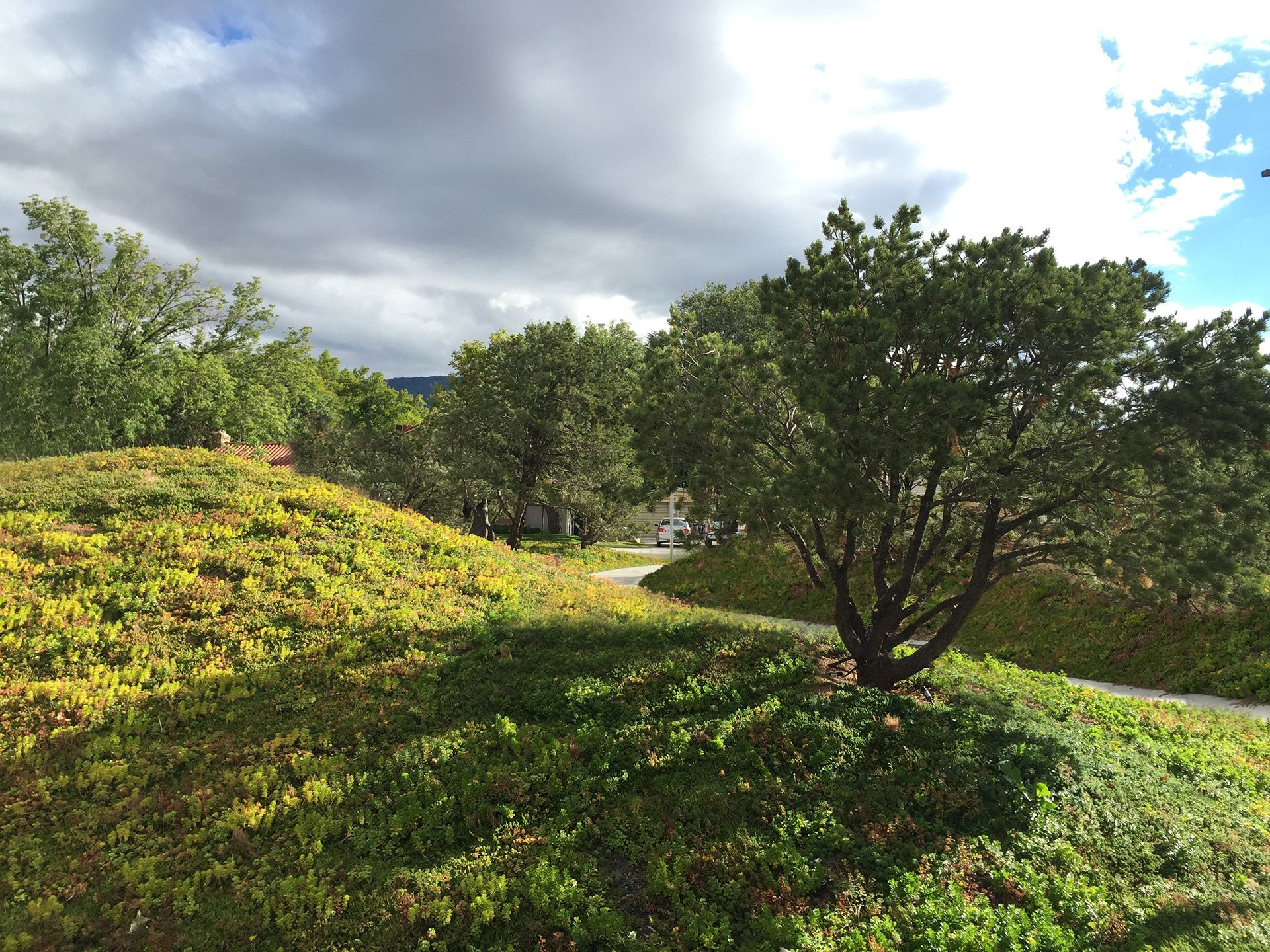 南犹他艺术博物馆(SUMA)-67