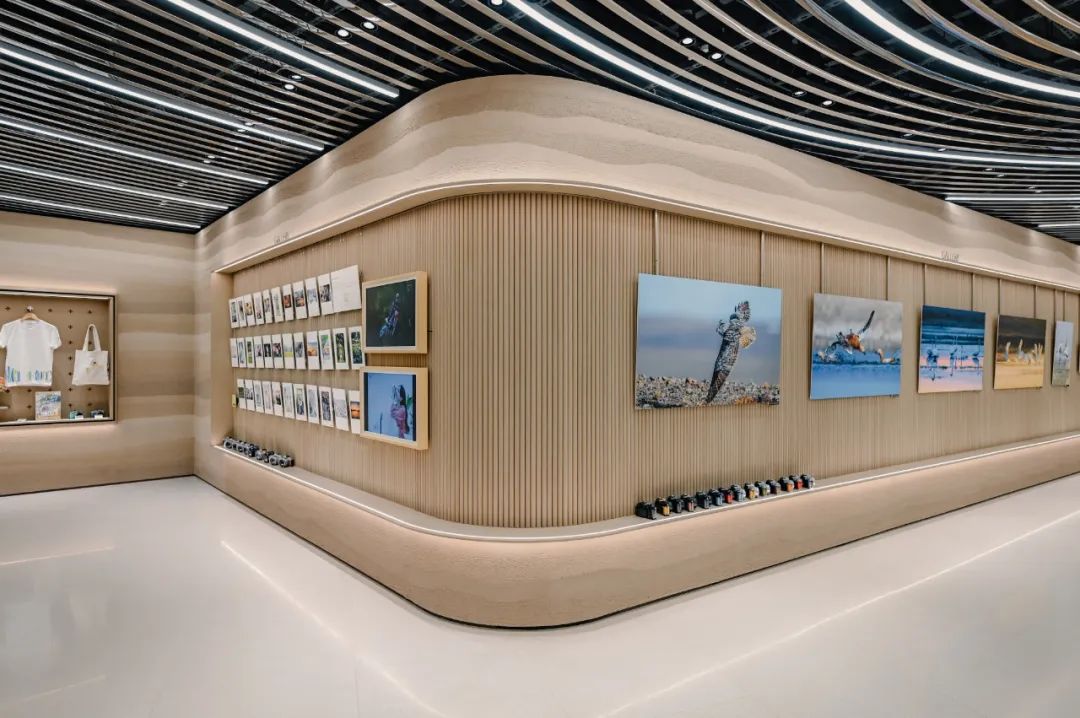 尼康成都直营店丨中国成都丨LUKSTUDIO 芝作室-20