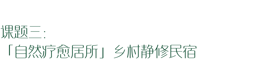 一场人与场地共生的创新实验｜铁牛村青年乡建实践营活动回顾-62