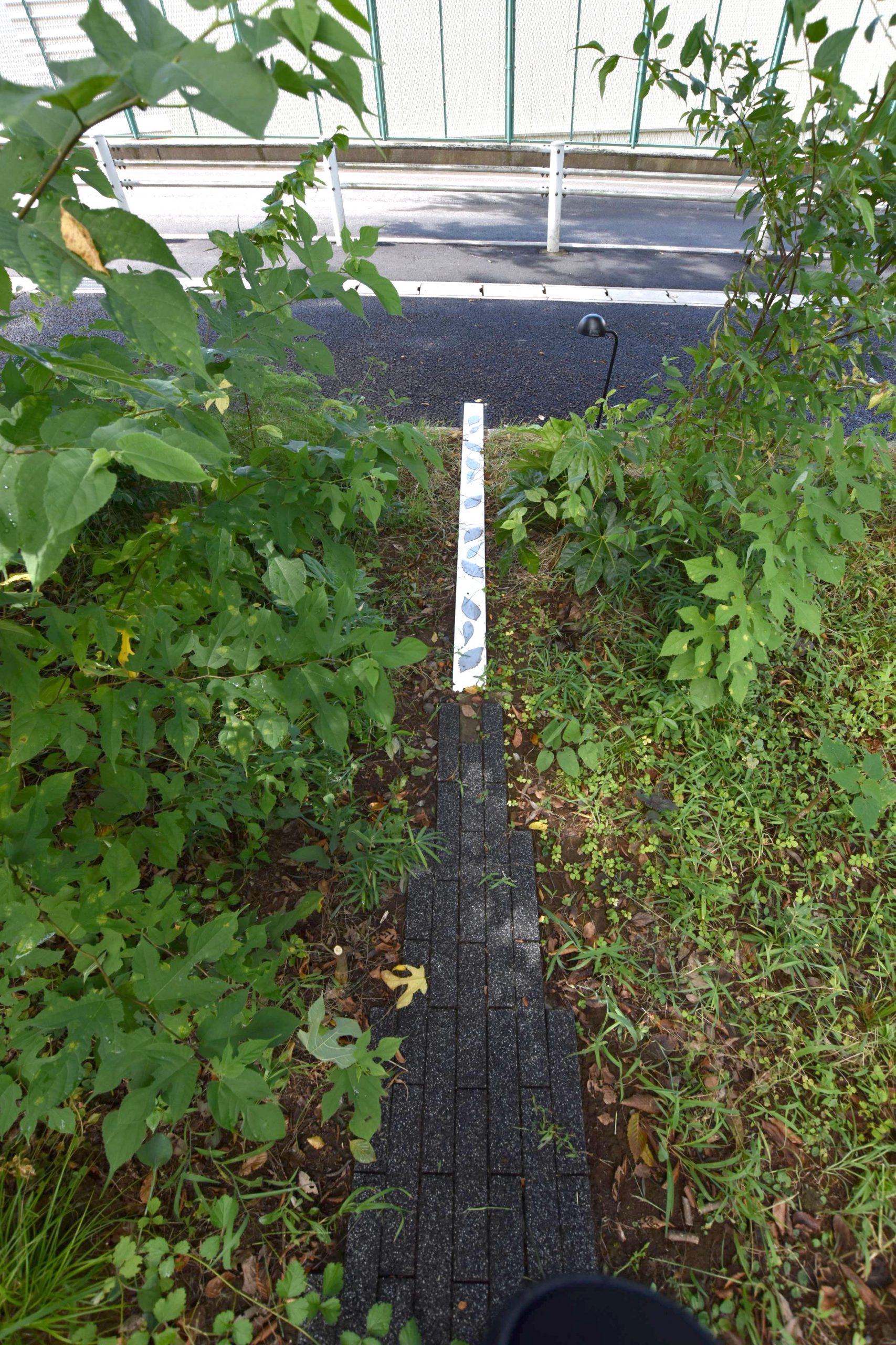 绽放的风 (Bloom no kaze)-29