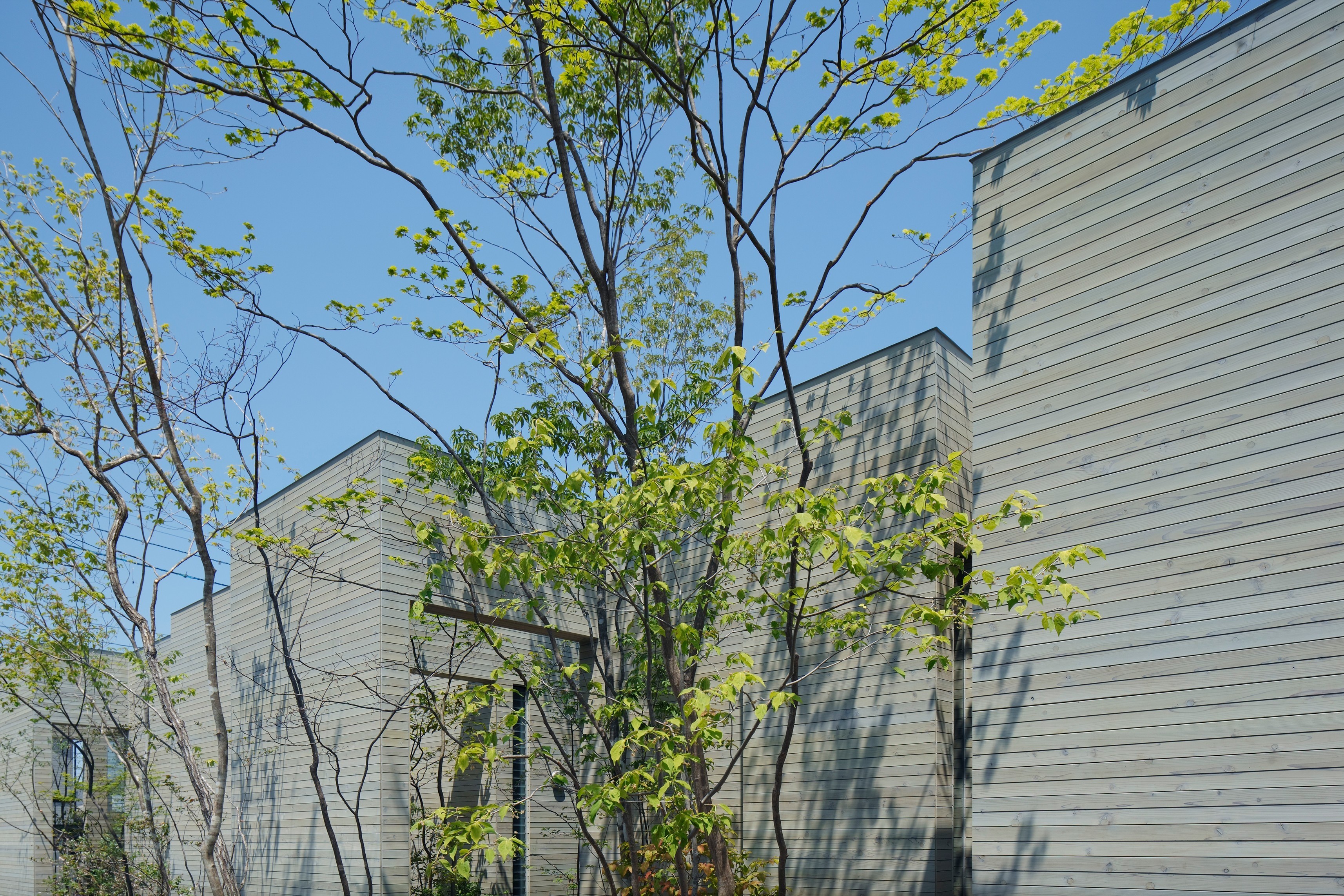 环；回路；循环-4