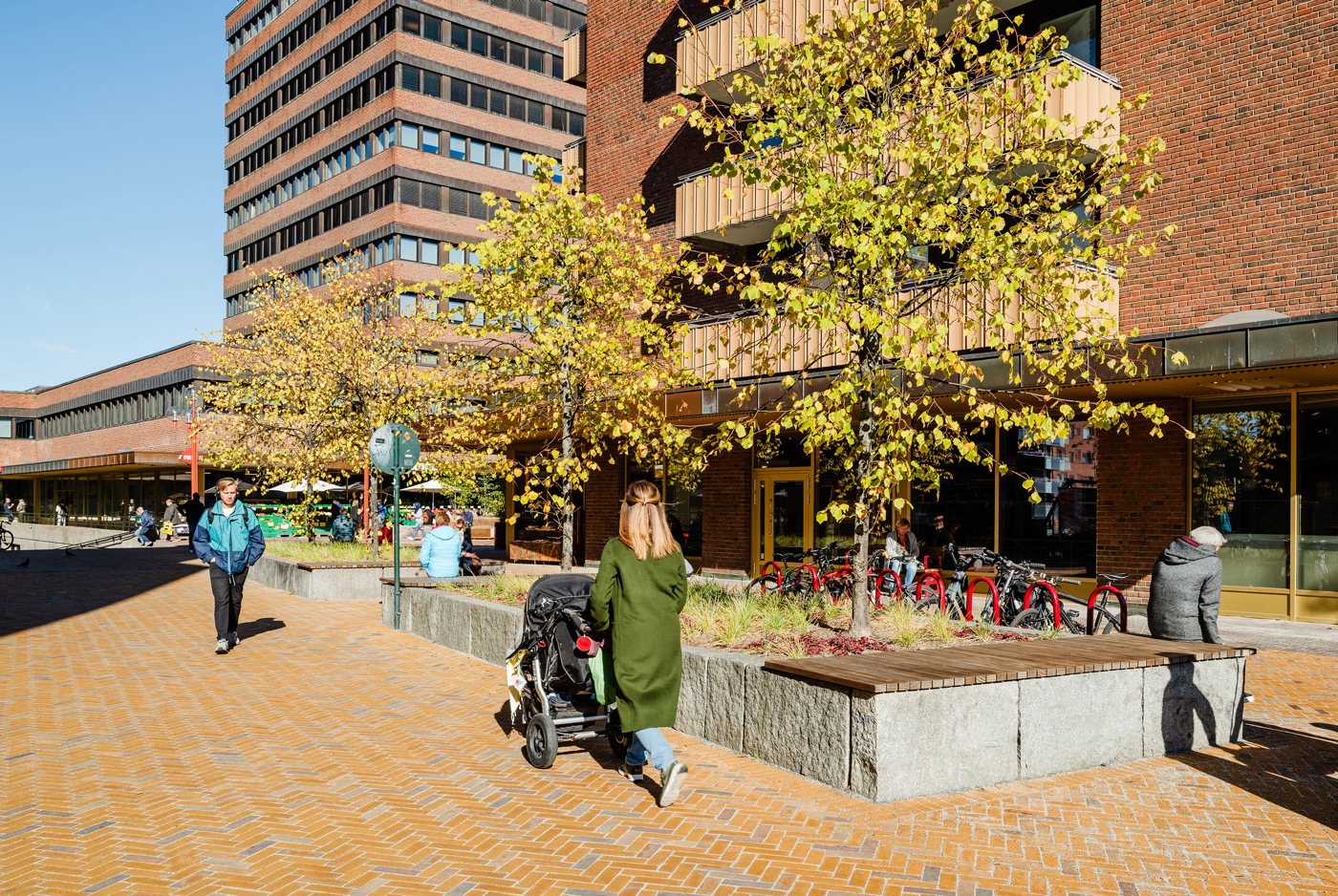 奥斯陆 Tøyen 广场 | 多元文化景观的生动表达-6