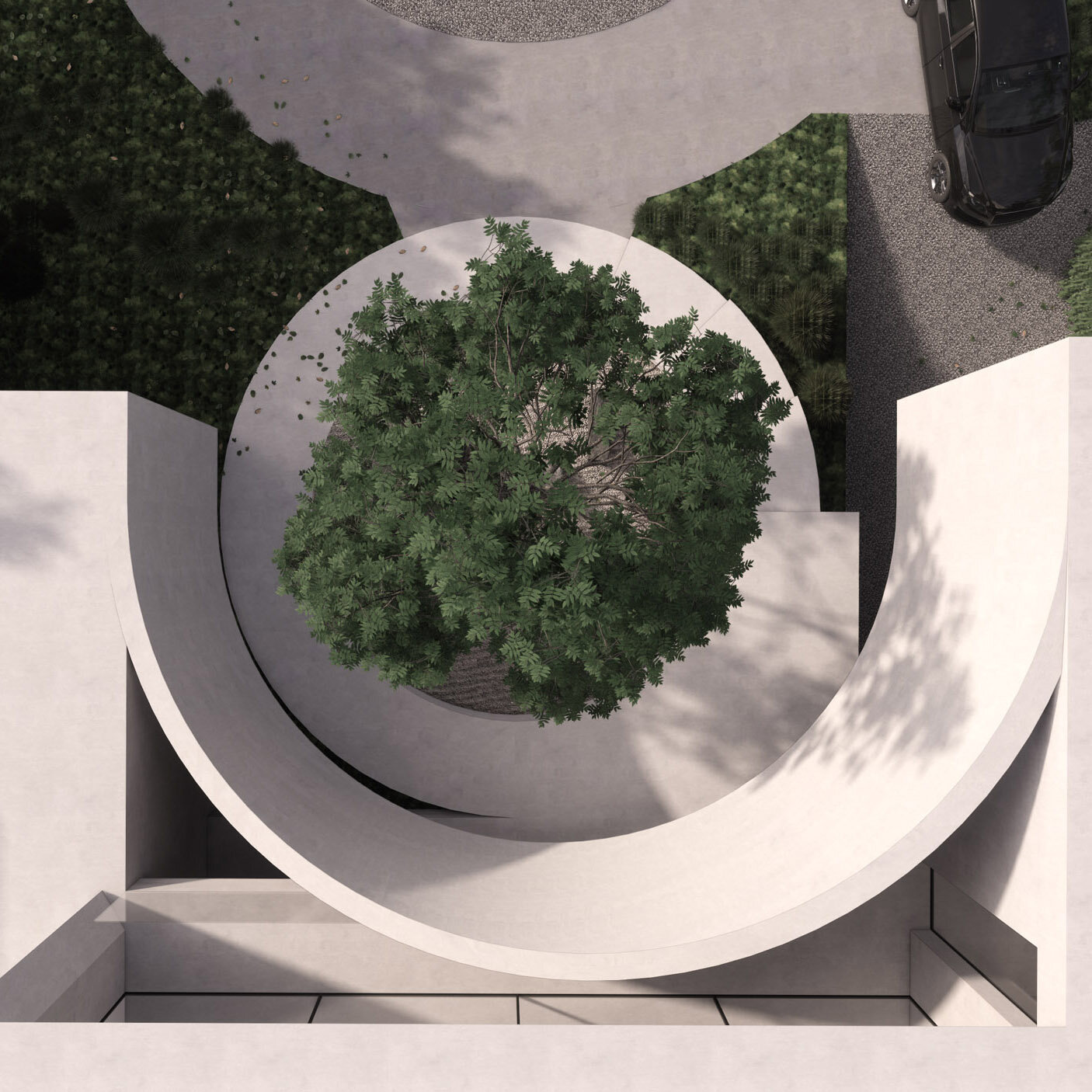 _Beach Dog_Brighton Taylor Pressly-10