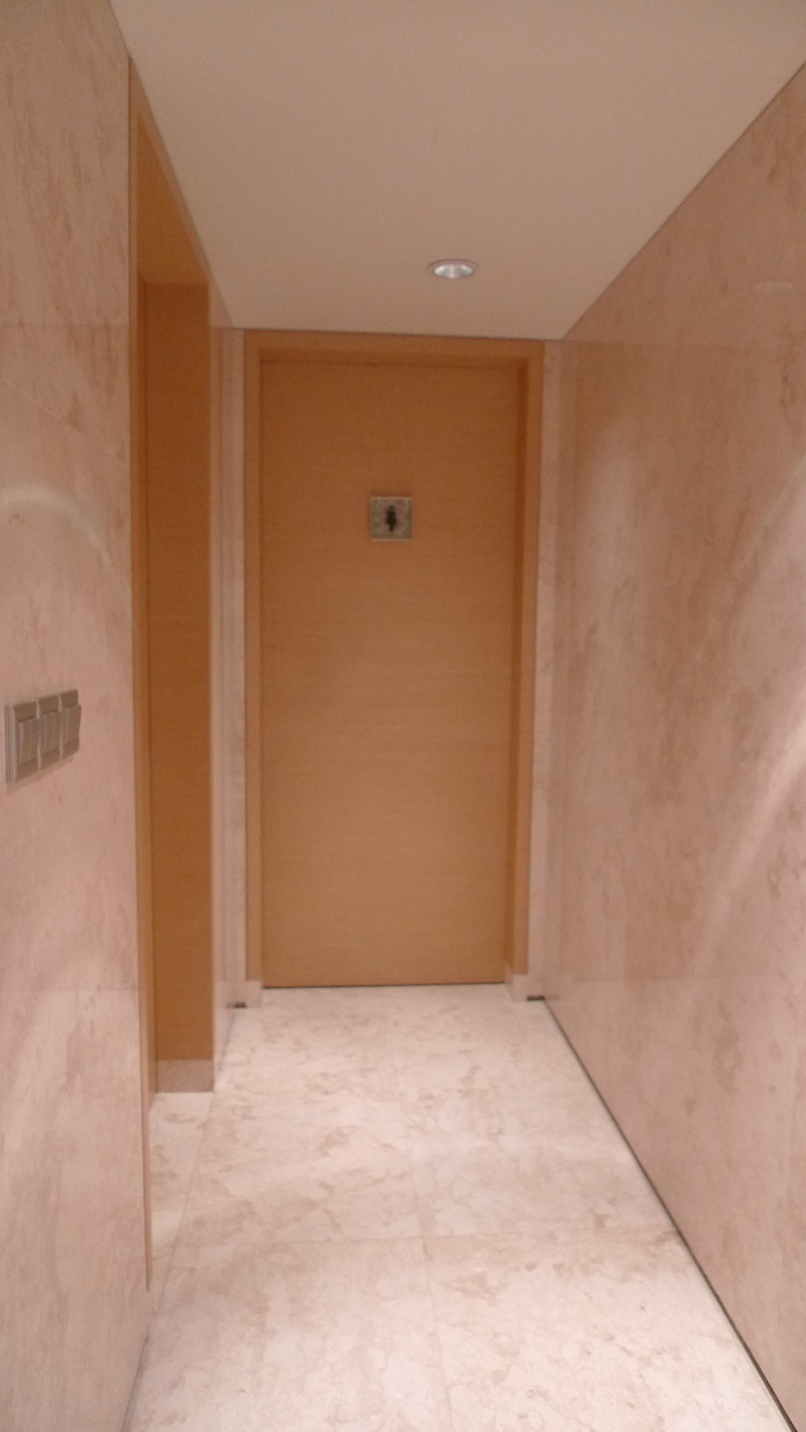 HBA  深圳大梅沙喜来登   -2-17