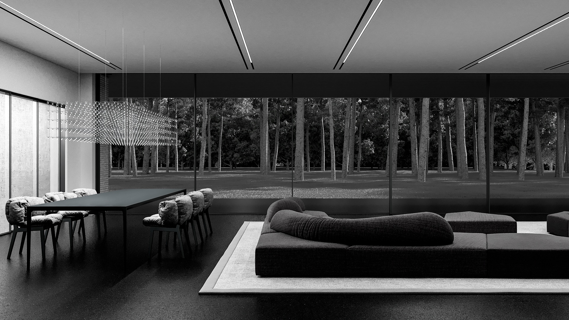 莫斯科黑白写意别墅  |  Oleg Kim作品-5