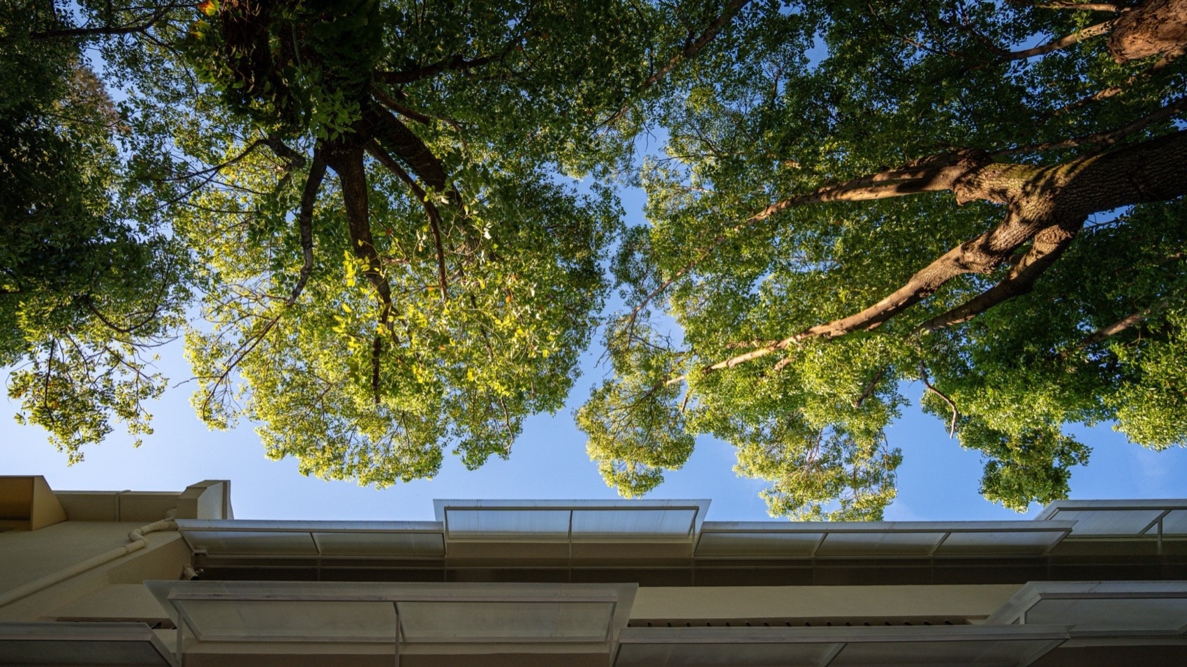 平江路松之屿民宿丨中国苏州丨咫间设计-51