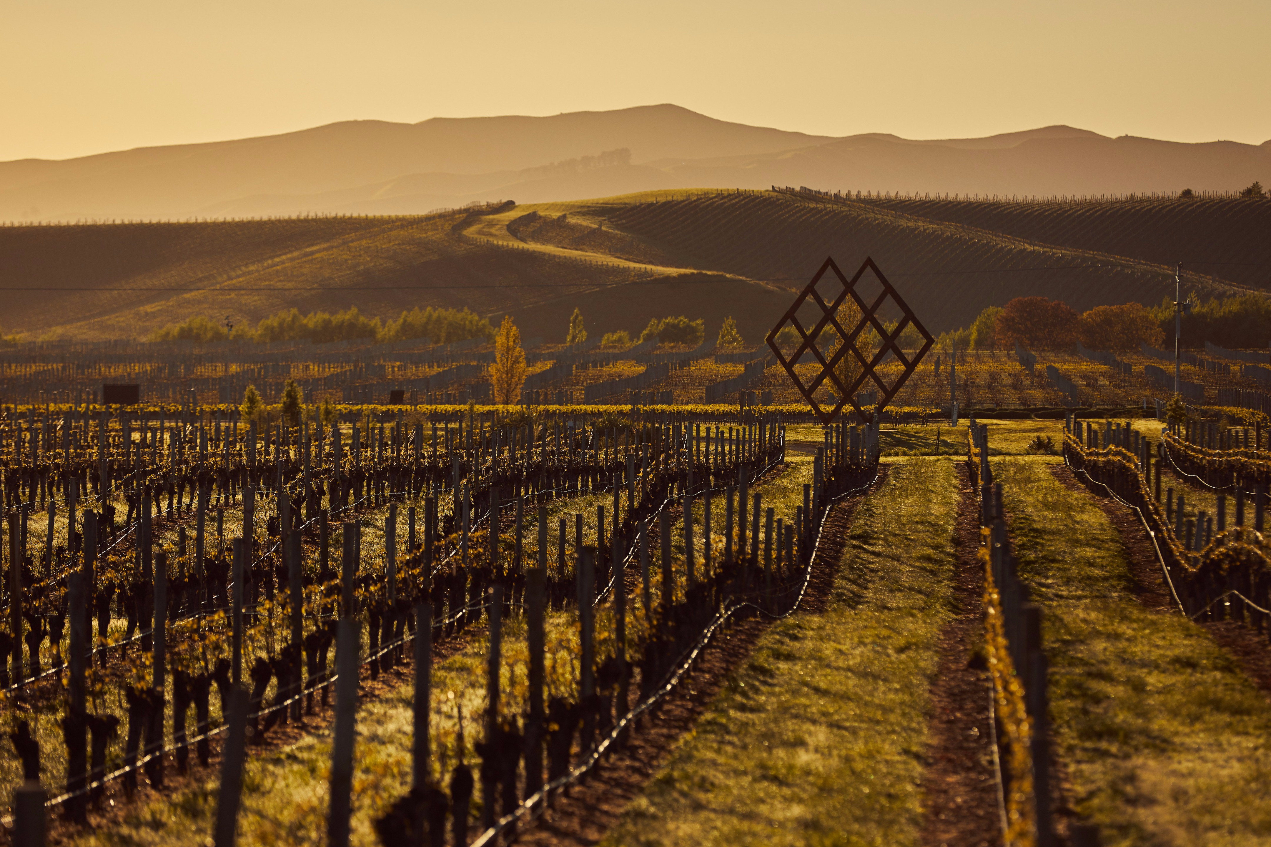 Under,standing 装置与 Brancott Estate 酒庄-8