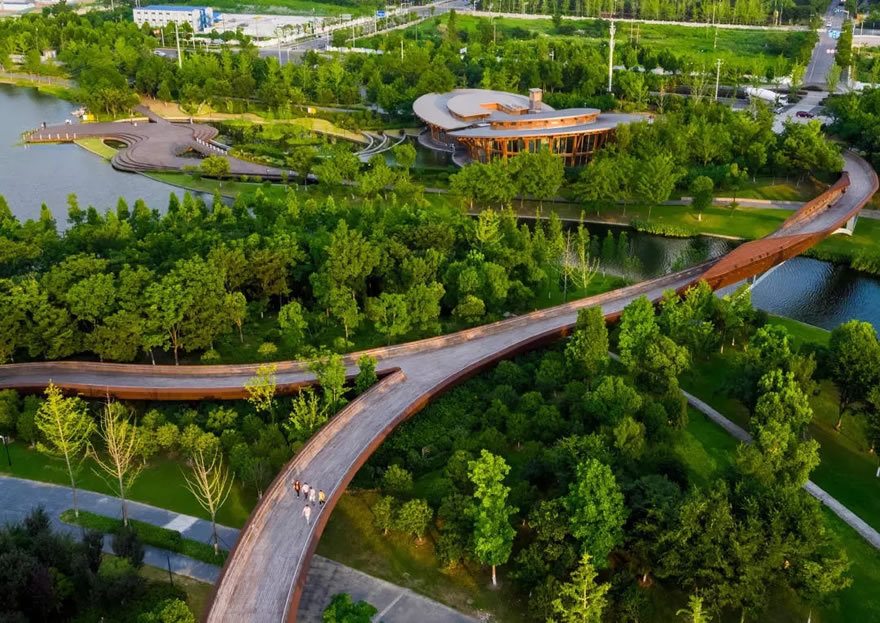 南京河西生态公园-4