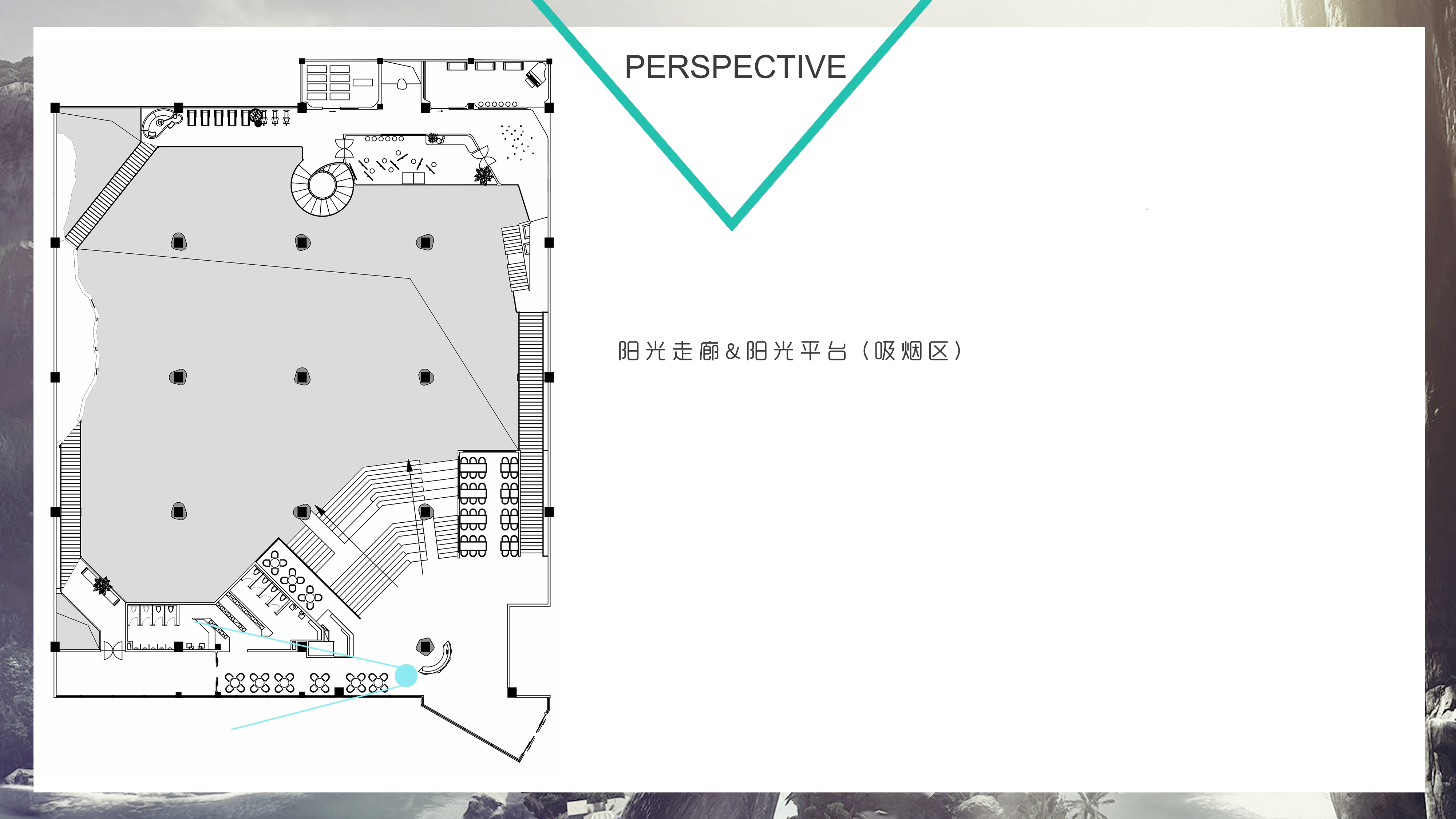 减压办公空间设计 | 城市绿洲的舒缓魅力-48
