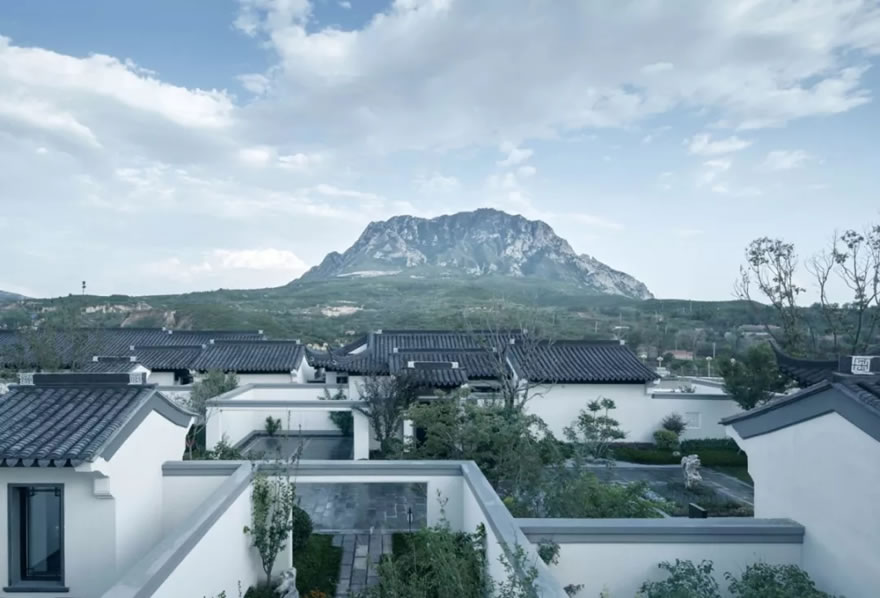 北京桃李春风-48