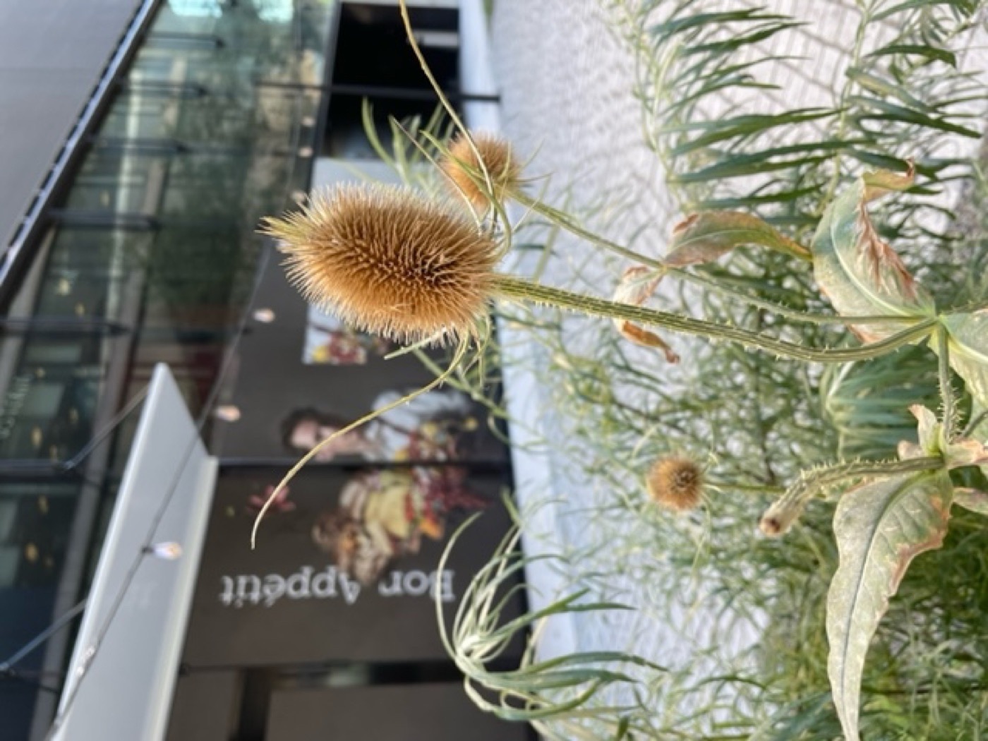 Sihlcity 户外设施改造丨瑞士苏黎世丨Neuland ArchitekturLandschaft GmbH-30