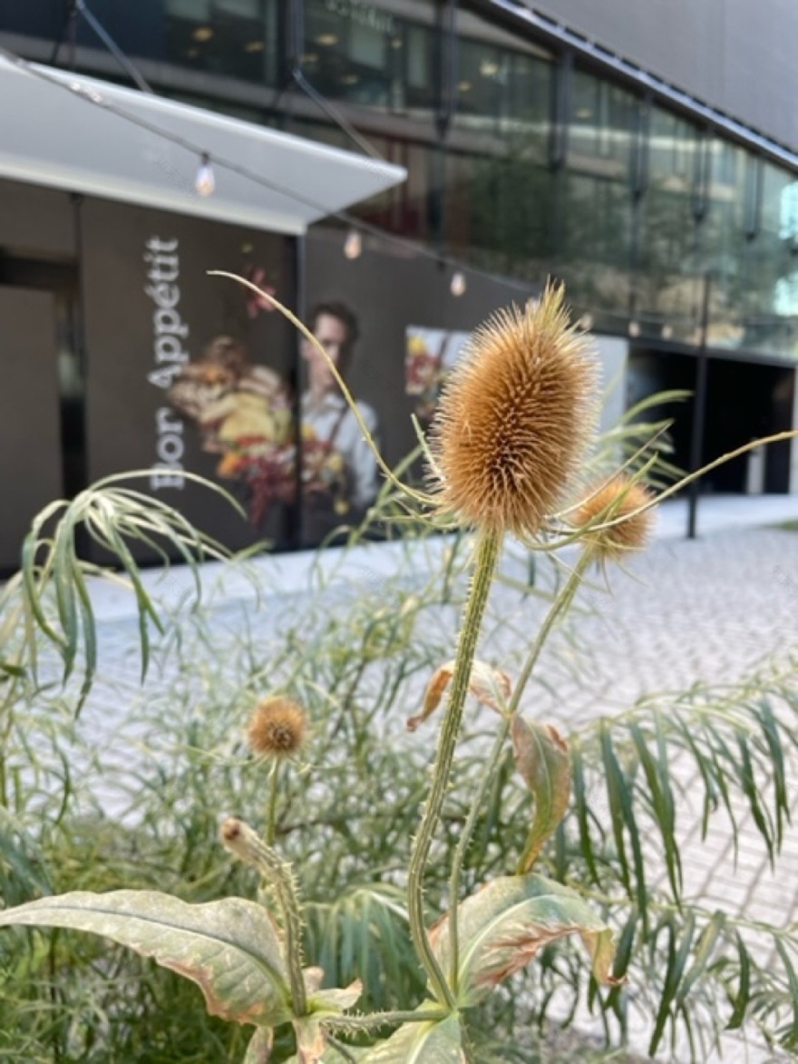 Sihlcity 户外设施改造丨瑞士苏黎世丨Neuland ArchitekturLandschaft GmbH-30