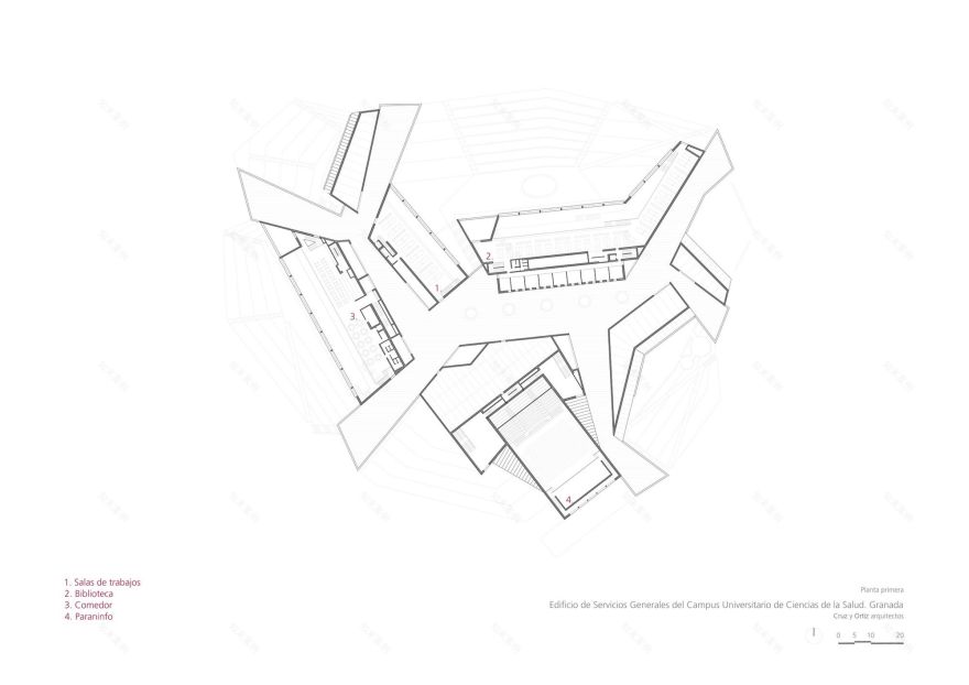 格兰纳达大学健康科学园区服务大楼 | 有机形态与多功能空间-30