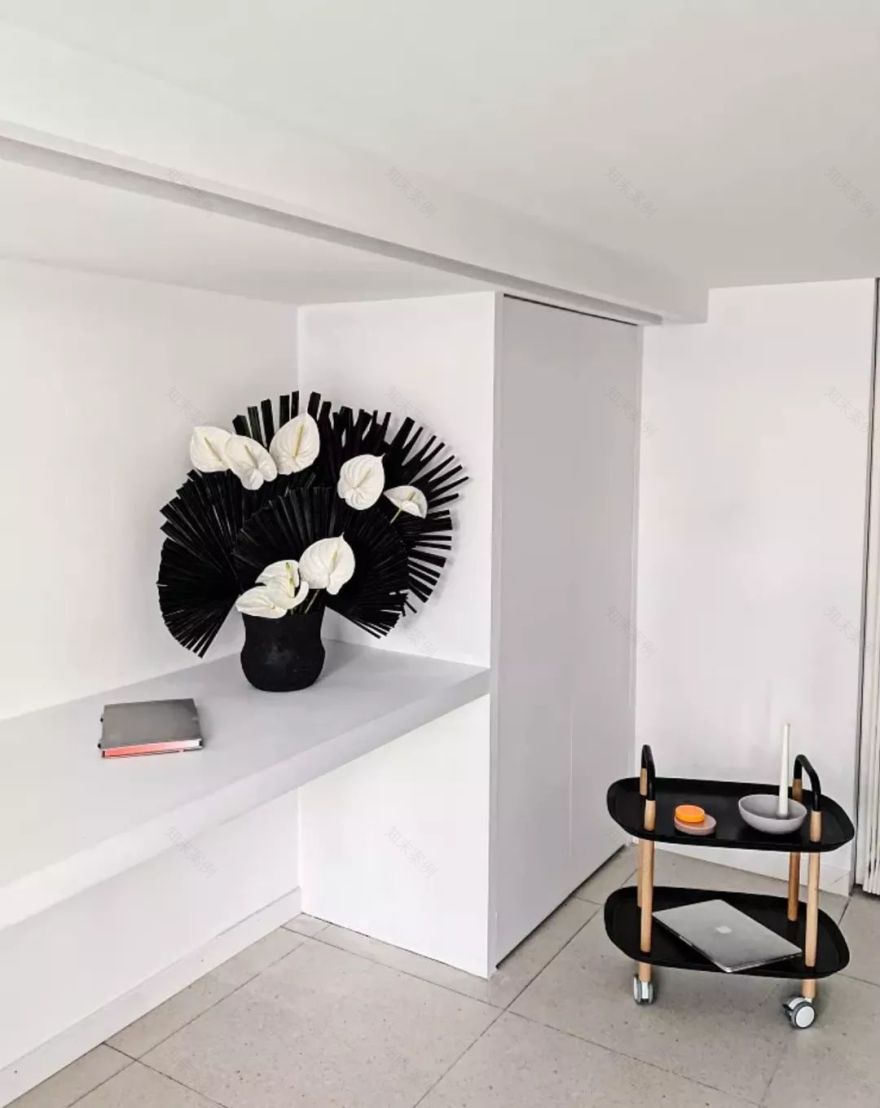 黑白镜像人生-54