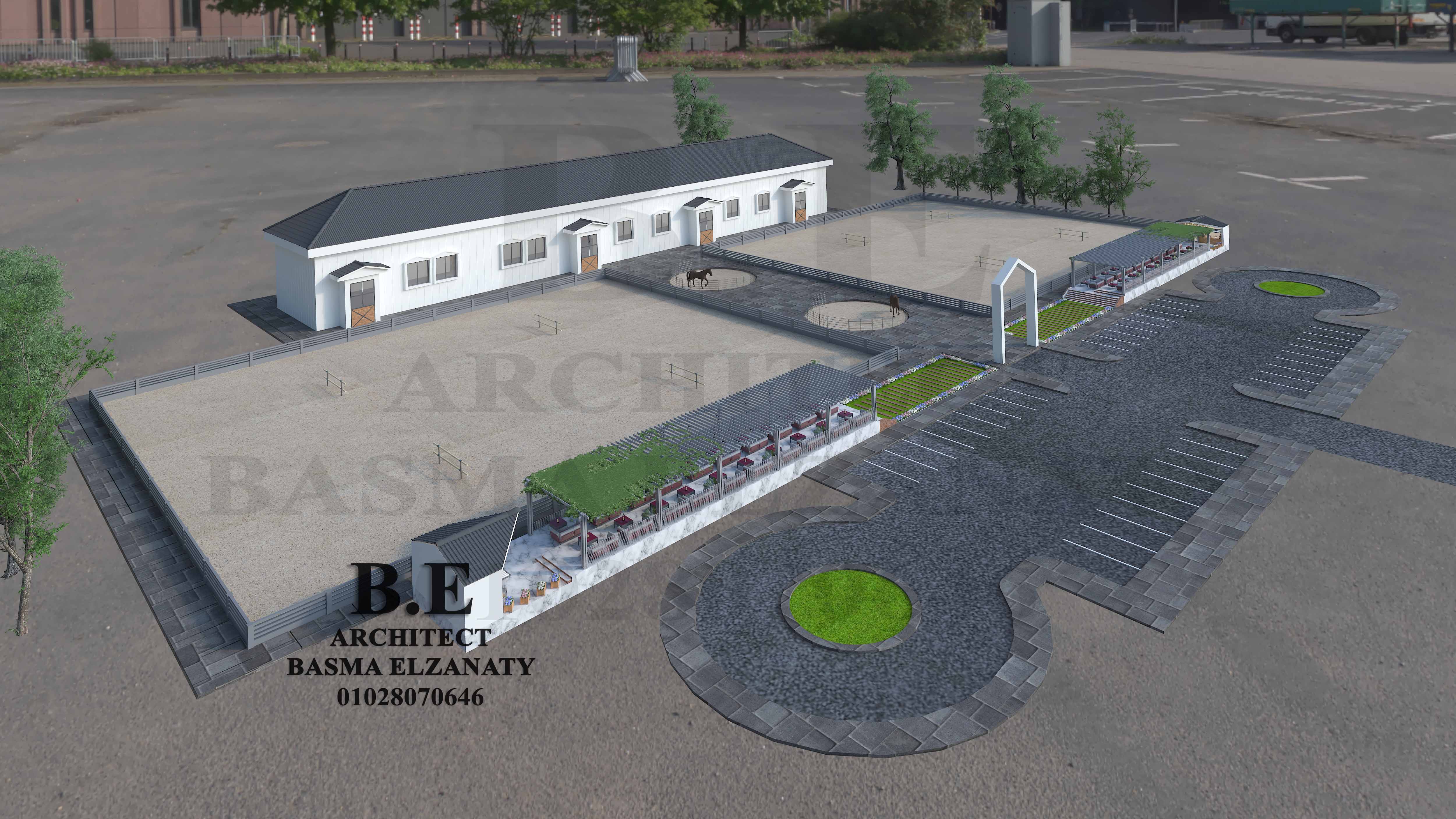 Horse club in Zagazig-0