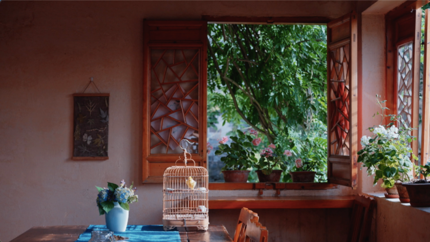 回声花园 · IT 夫妇的乡野生活丨中国黄山丨红子,小可夫妇-32